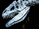 Crâne de dinosaure
