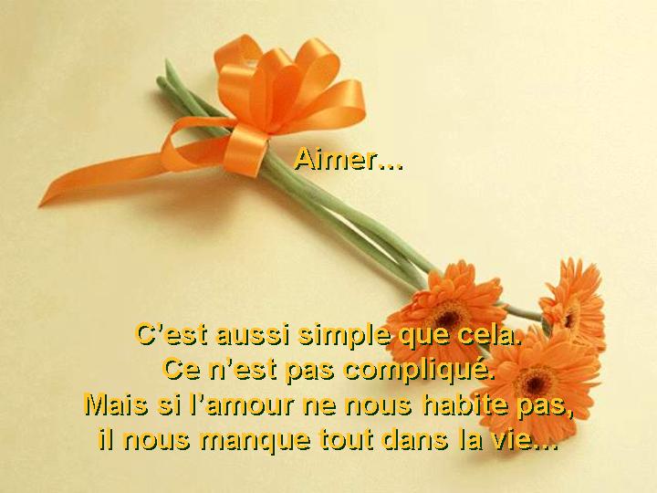 Aimer... 08