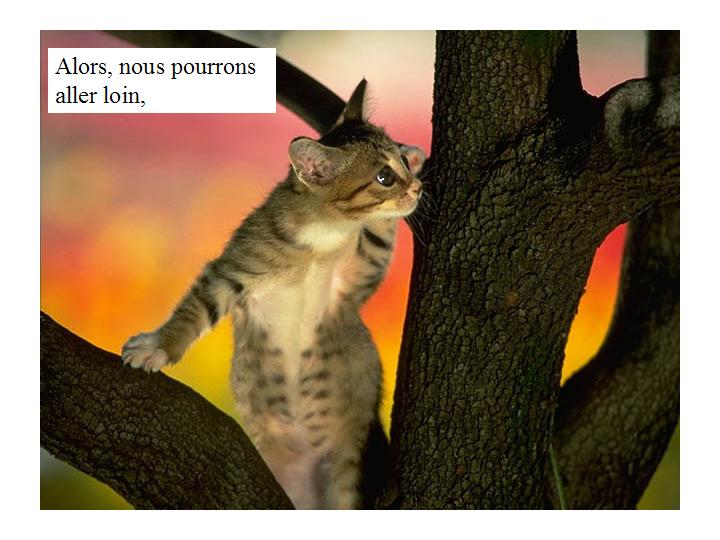 Bonne année 18