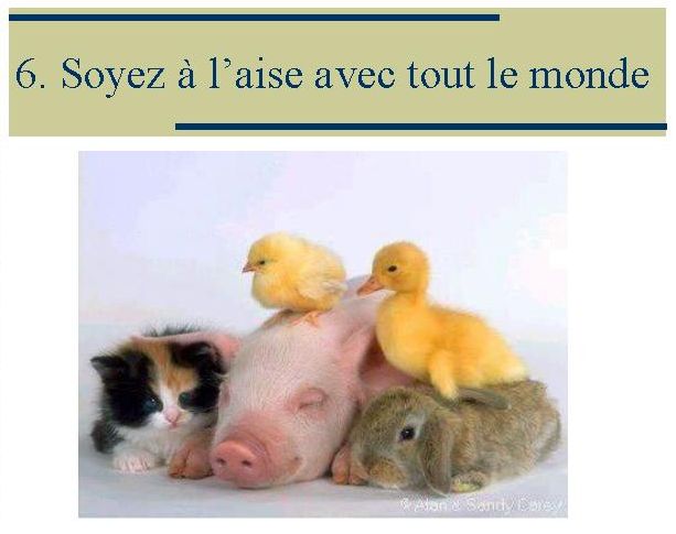 Comment vous rendre heureux 07