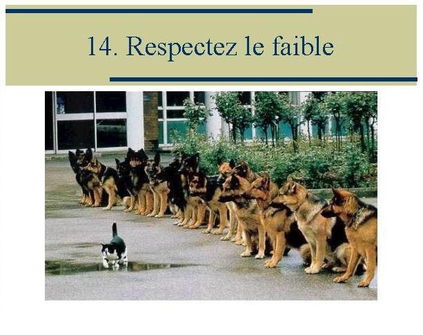 Comment vous rendre heureux 15